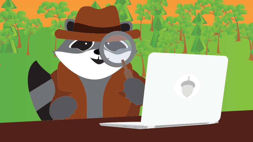 A raccoon investigates a computer